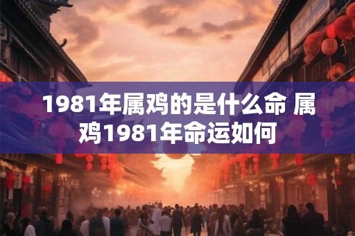 1981年属鸡的是什么命 属鸡1981年命运如何 1981年属鸡的是什么命 属鸡1981年命运如何