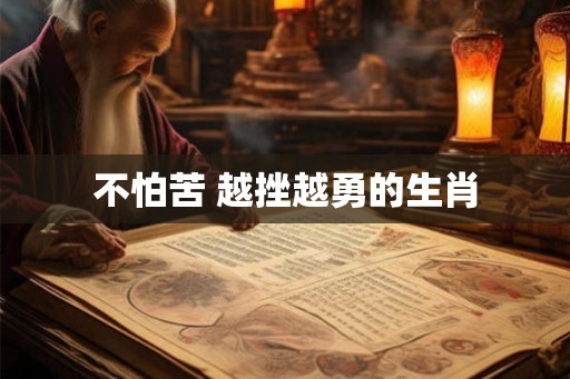 不怕苦 越挫越勇的生肖