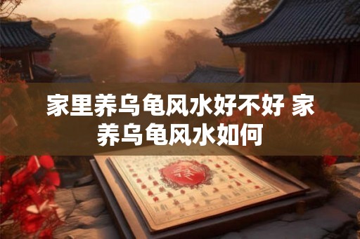 家里养乌龟风水好不好 家养乌龟风水如何