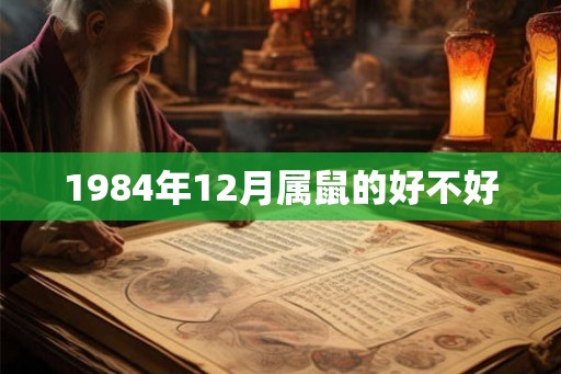 1984年12月属鼠的好不好