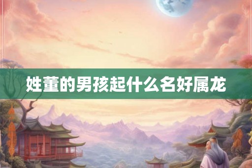 姓董的男孩起什么名好属龙