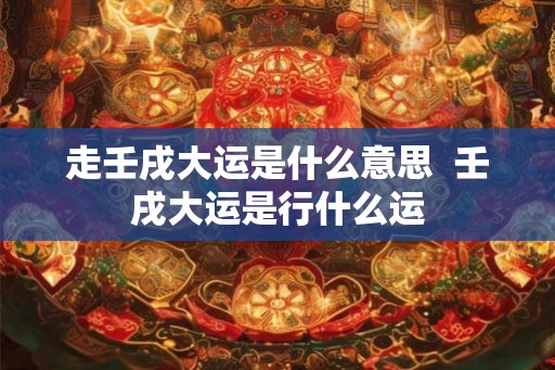 走壬戌大运是什么意思  壬戌大运是行什么运