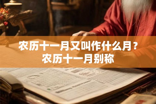 农历十一月又叫作什么月?农历十一月别称 农历十一月又叫作什么月?农历十一月别称