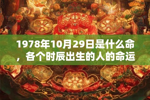 1978年10月29日是什么命，各个时辰出生的人的命运