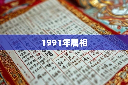 1991年属相