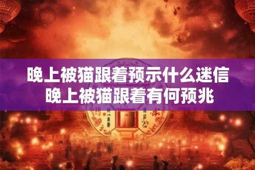 晚上被猫跟着预示什么迷信 晚上被猫跟着有何预兆