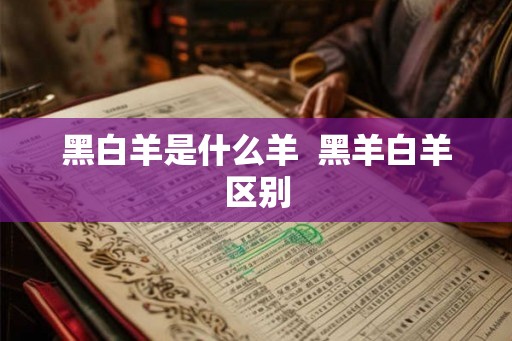 黑白羊是什么羊  黑羊白羊区别