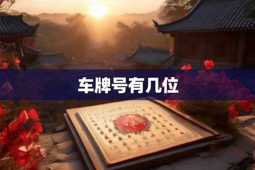车牌号有几位