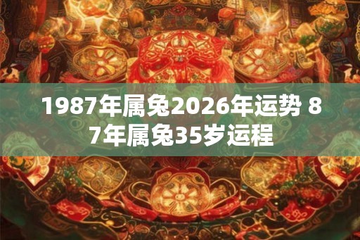 1987年属兔2026年运势 87年属兔35岁运程