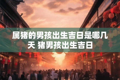 属猪的男孩出生吉日是哪几天 猪男孩出生吉日