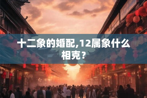 十二象的婚配,12属象什么相克？