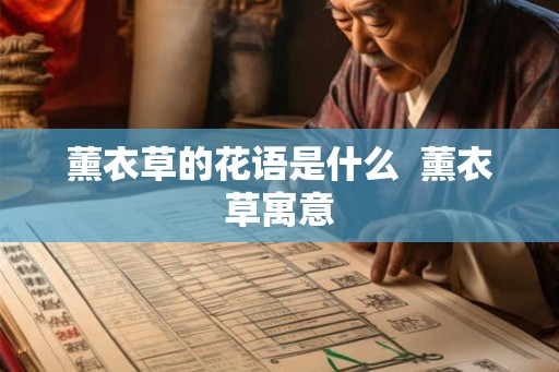 薰衣草的花语是什么  薰衣草寓意