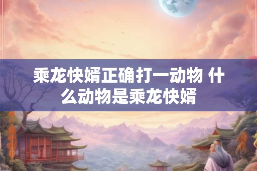 乘龙快婿正确打一动物 什么动物是乘龙快婿