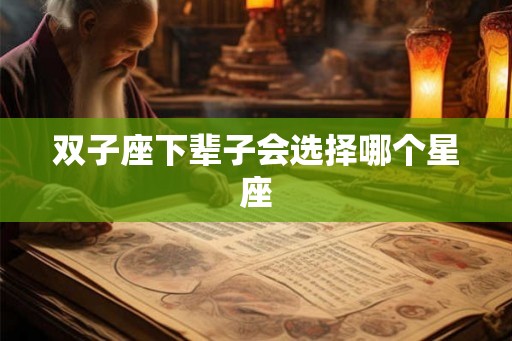 双子座下辈子会选择哪个星座