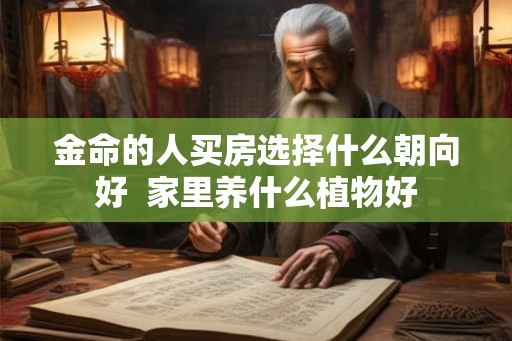 金命的人买房选择什么朝向好  家里养什么植物好