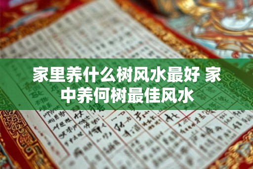 家里养什么树风水最好 家中养何树最佳风水