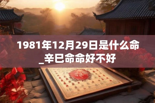1981年12月29日是什么命_辛巳命命好不好 1981年12月29日是什么命_辛巳命命好不好