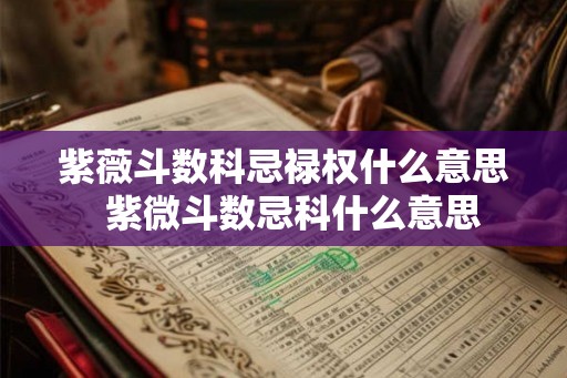 紫薇斗数科忌禄权什么意思  紫微斗数忌科什么意思