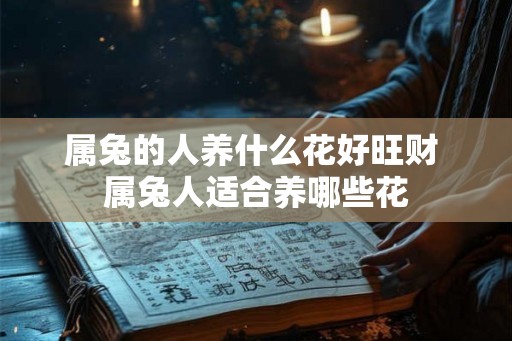 属兔的人养什么花好旺财 属兔人适合养哪些花 属兔的人养什么花好旺财 属兔人适合养哪些花