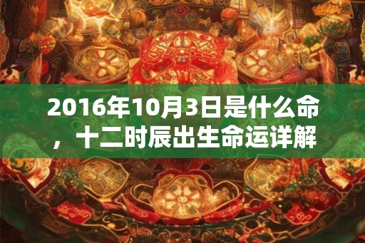 2016年10月3日是什么命，十二时辰出生命运详解