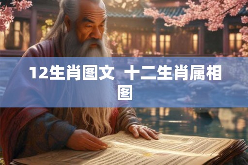 12生肖图文  十二生肖属相图