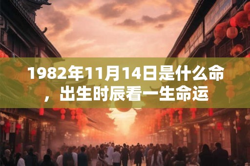 1982年11月14日是什么命，出生时辰看一生命运