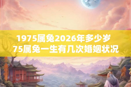 1975属兔2026年多少岁  75属兔一生有几次婚姻状况