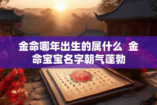 金命哪年出生的属什么  金命宝宝名字朝气蓬勃