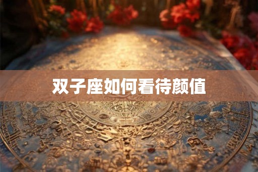 双子座如何看待颜值