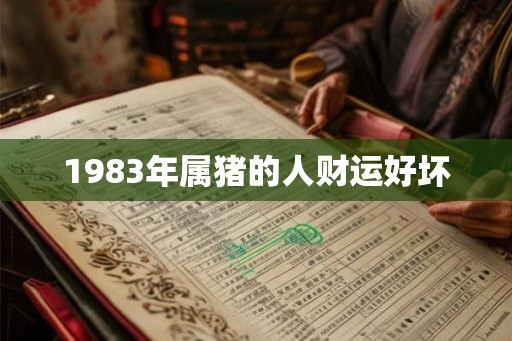 1983年属猪的人财运好坏