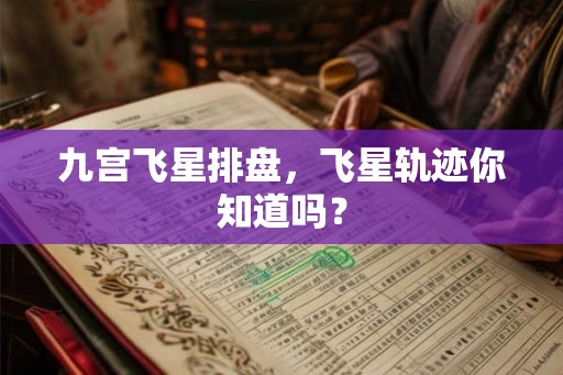 九宫飞星排盘，飞星轨迹你知道吗？