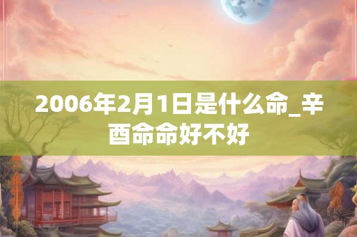 2006年2月1日是什么命_辛酉命命好不好
