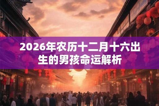 2026年农历十二月十六出生的男孩命运解析
