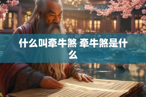 什么叫牵牛煞 牵牛煞是什么