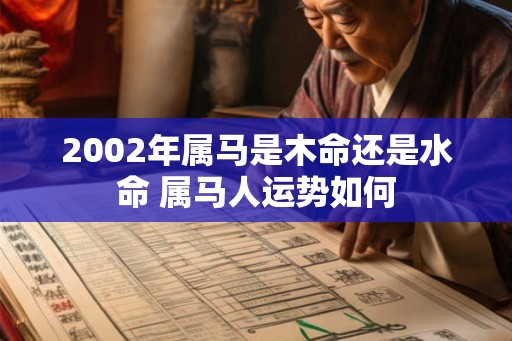2002年属马是木命还是水命 属马人运势如何 2002年属马是木命还是水命 属马人运势如何