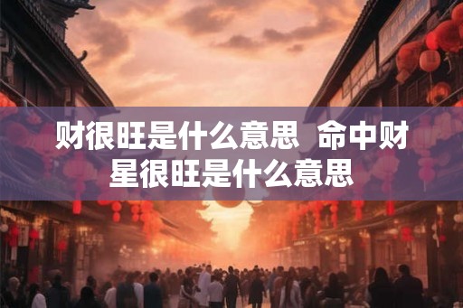 财很旺是什么意思  命中财星很旺是什么意思