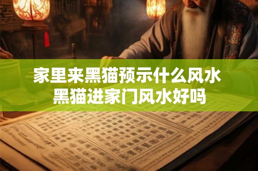 家里来黑猫预示什么风水 黑猫进家门风水好吗