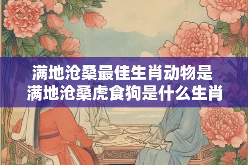 满地沧桑最佳生肖动物是 满地沧桑虎食狗是什么生肖