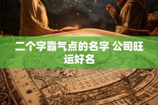 二个字霸气点的名字 公司旺运好名