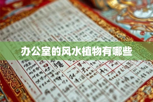 办公室的风水植物有哪些