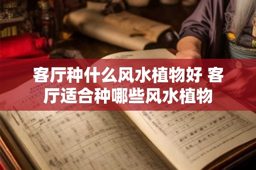 客厅种什么风水植物好 客厅适合种哪些风水植物 客厅种什么风水植物好 客厅适合种哪些风水植物