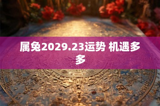 属兔2029.23运势 机遇多多