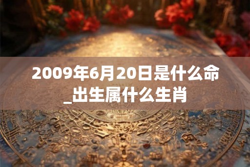 2009年6月20日是什么命_出生属什么生肖