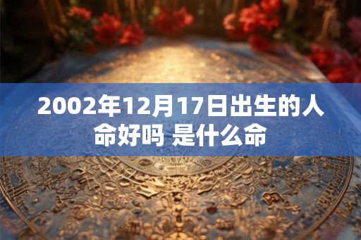 2002年12月17日出生的人命好吗 是什么命