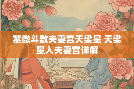 紫微斗数夫妻宫天梁星 天梁星入夫妻宫详解