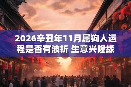2026辛丑年11月属狗人运程是否有波折 生意兴隆缘分未到