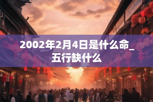 2002年2月4日是什么命_五行缺什么