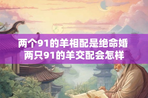 两个91的羊相配是绝命婚 两只91的羊交配会怎样