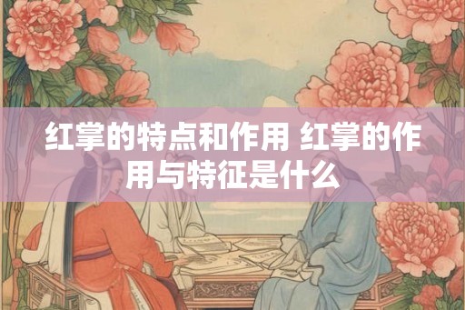 红掌的特点和作用 红掌的作用与特征是什么