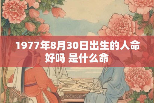 1977年8月30日出生的人命好吗 是什么命